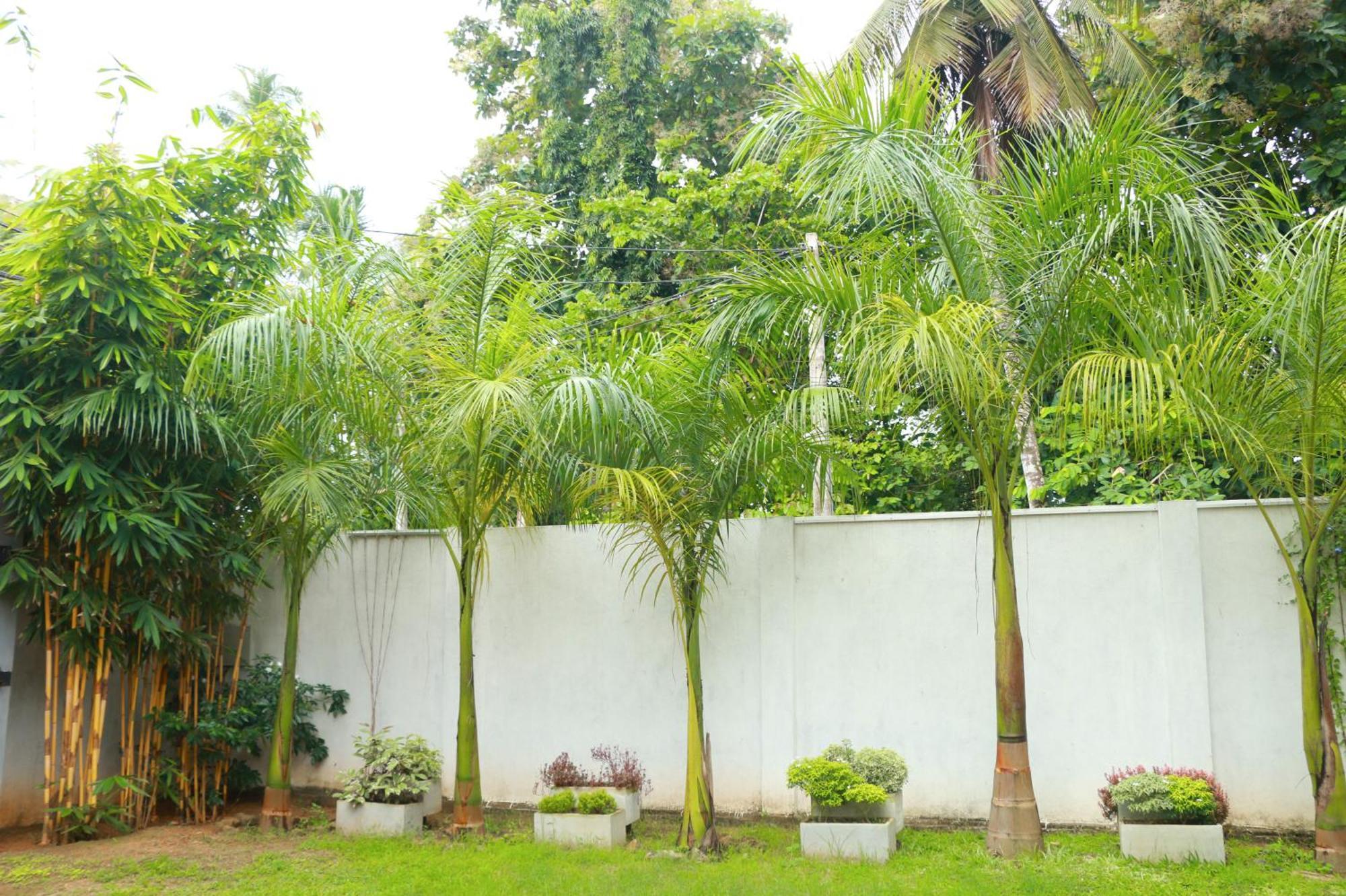 Venus Heaven Luxurious Villa Tangalle Esterno foto