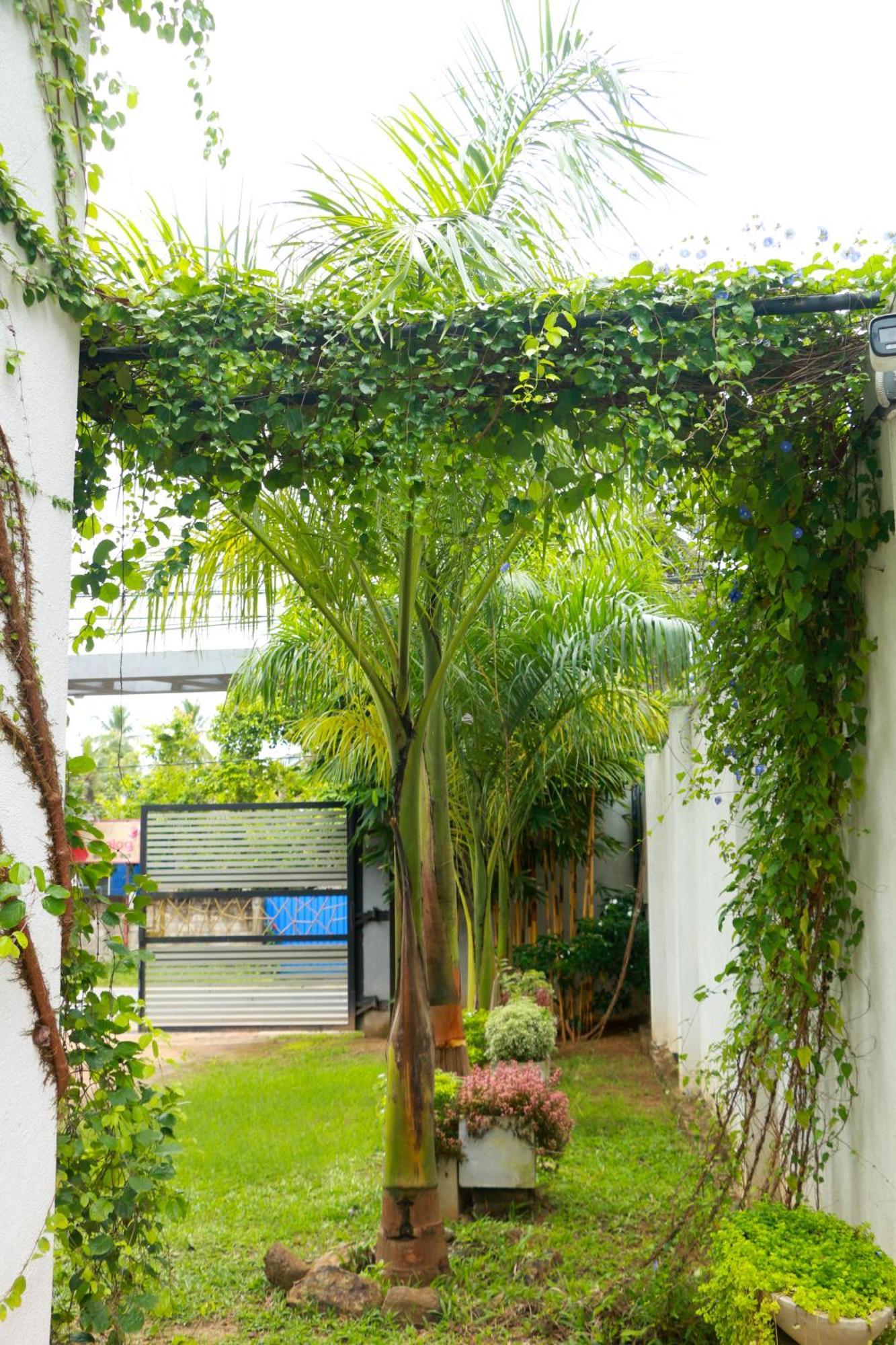 Venus Heaven Luxurious Villa Tangalle Esterno foto